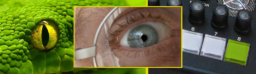 Detailshot