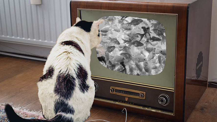 Monochroom TV