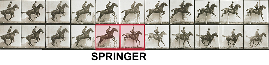 Springer